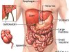 Abdominal pain (पेट दर्द)