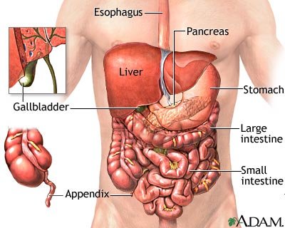 Abdominal pain (पेट दर्द)